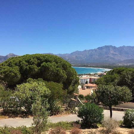 Appartement Calvi Calvi  Kültér fotó