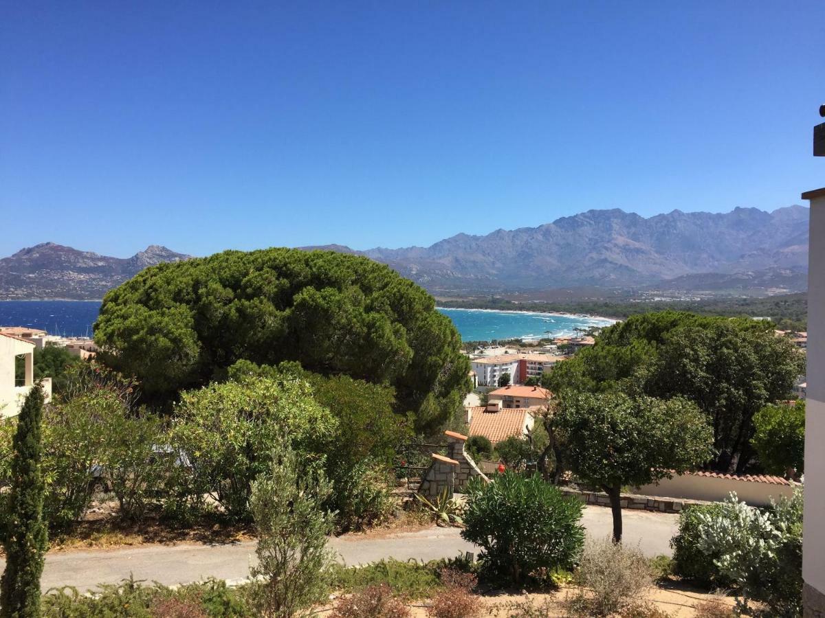 Appartement Calvi Calvi  Kültér fotó